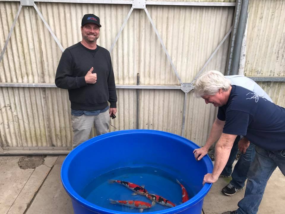 Laguna Koi 团队评估鱼类健康状况